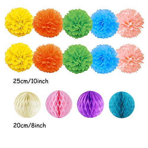 Recosis Hanging Paper Fans Tissue Paper Pom Poms Flower And Honeycomb Balls For Birthday Party Wedding Festival Christmas Decorations - Colorful #TOP2