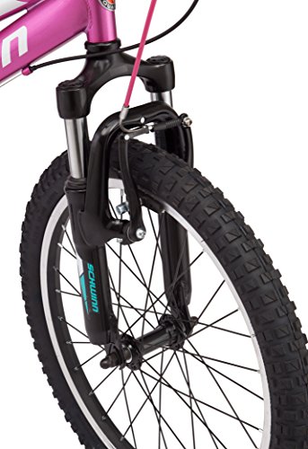 Image of Schwinn High Timber Mountain Bike, 20-Inch Wheels
