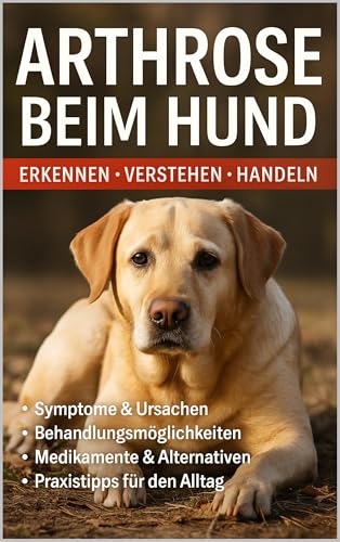 Produkt Bild Nr. 10