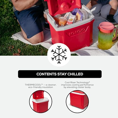 Image of Igloo Hard Cooler | Profile Series | Insulated Ice Chests