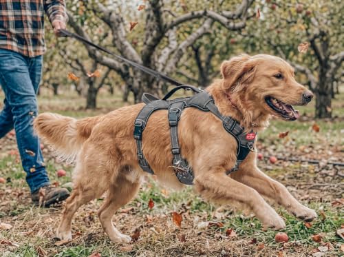 Image of Tracker - No Pull Dog Harness | Front and Back Leash Attachment Points | 3M Reflective Stitching Increases Safety at Night | 5 Point Adjustable Fit Harness for Dogs | Padded Dog Harness for Comfort