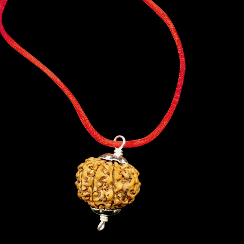 Vishaka Arts10 Mukhi Rudraksha Pendant from Nepal 28mm-30mm IGL Lab Certified Original Geniune 100% Natural