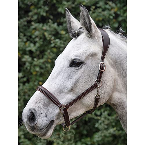 Foto von Equiline anat. Sicherheitshalfter WB Brown
