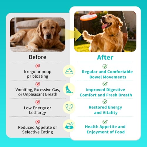 Probiotics for Dogs, Digestive Enzymes & Pumpkin Fiber for Gut Health and Bowel Support, Dog Supplement for Gas Relief & Constipation, 10B CFU with 5 Prebiotics & 5 Enzymes, 90 Count Chicken Flavor — view 4