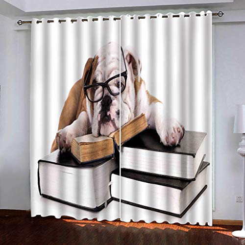 Rideaux opaques anti froid pour stopper la lumière du jour lot de 2
