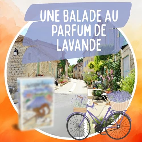 Episode 1 : Une balade au parfum de lavande