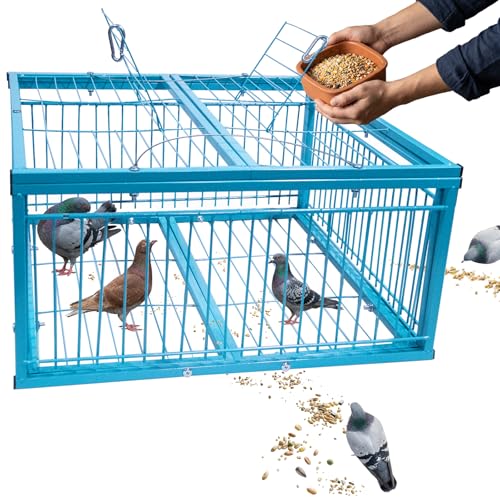 4-Sided Walk-in Pigeon Trap - Humane Live Bird Cage for