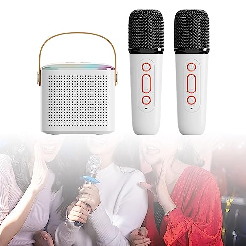 Colaxi Sistema de alto-falante portátil Alto-falante Bluetooth portátil com microfone sem fio Microf