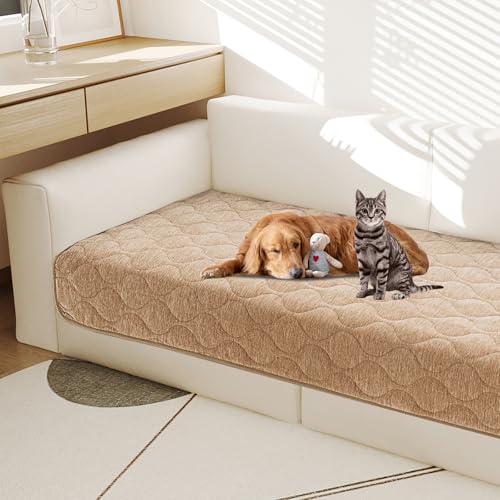 Gollense mXbv ybgJE`Jo[ALg VFj[ t@W[\t@Jo[ p 2 NbV \ \t@ XbvJo[ \tg JE` veN^[ ybgth[}bg (J[LA90.9 cm x 159.8 cm)