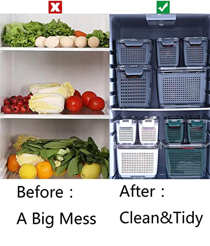 3-Pack Vegetable And Fruit Storage Containers For Fridge Organizer Produce Saver Containers For Refrigerator Lettuce Berry Salad Cabbage Keeper Bpa-Free Kitchen Organization With Lids And Air Vents (Grey) #TOP3