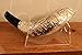 Shofart Israel Jerusalem Old City silver plated rams' ram horn shofar kosher from the Holy land + Free stand