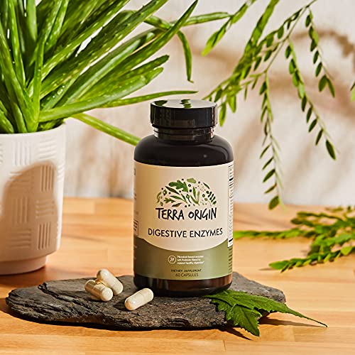 Terra Origin - Digestive Enzymes With Probiotics | Supports Healthy Digestion | Bromelain, Lactase, Amylase, Lipase | Made In The Usa, Gluten-Free | 60 Servings #TOP2
