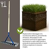 Crisalide B0DY1ZL4SW lato 3