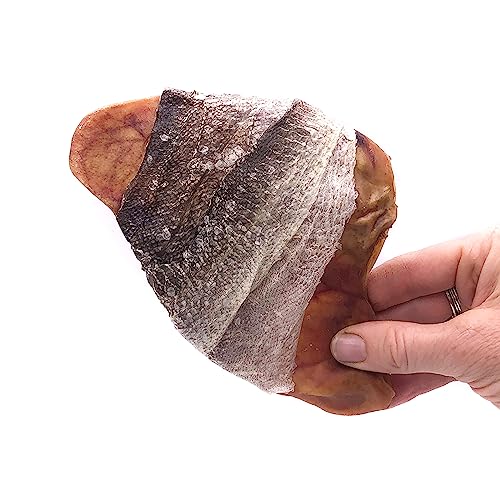 Icelandic+ Fish Ear – Pig Ear Hand-Wrapped in Cod Skin – Dog Treat, Two Chews in One, Long Lasting Dog Chew Icelandic+ Fish Ear – Pig Ear Hand-Wrapped in Cod Skin – Dog Treat, Two Chews in One, Long Lasting Dog Chew