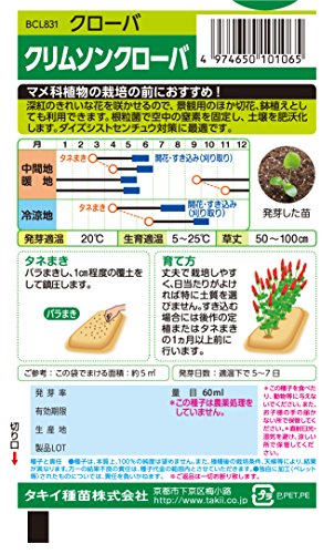 クリムゾンクローバーとは 花の特徴や開花時期 育て方の注意などをご紹介 暮らし の
