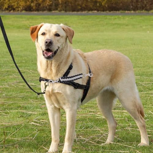 NiCola Hundehalsband-Sicherheitsclip, 2 Stück, Sicherheitsgurt für Hundegeschirr, Sicherheitsclips für Hundehalsband und Geschirrverbindung (2 Stück, Schwarz / Grau)