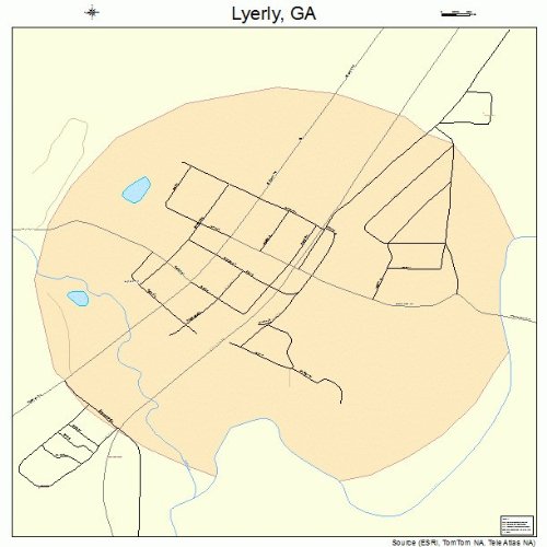 Large Street & Road Map of Lyerly, GA Printed poster size
