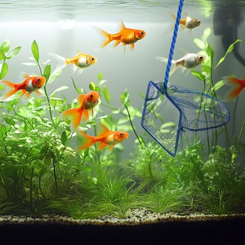 Image of Lpraer 4in 5in 6in Aquarium Fish Net Green Fine Mesh Nylon Net Collection with 11 inch Long Handle Square Quick Catch Fish Net for Fish Tank