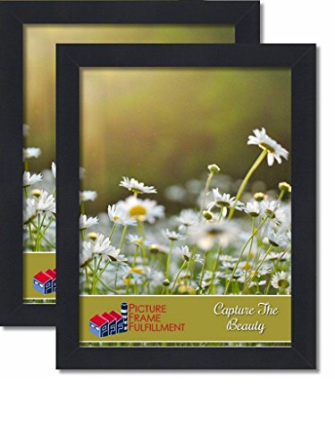 PictureFrameFactoryOutlet 18 by 24-inch Picture Frame 2-Piece Set, Smooth Finish, 1.25 Inch Wide, Black (18x24 Set of Two)