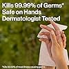 The Honest Company Fragrance-Free Sanitizing Alcohol Wipes, Antibacterial Safe for Hands, Kills 99% of Germs, Made With Aloe, 50 Count (1 Pack)
