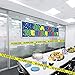 No Work Zone Party Tape Party Accessory (1 count) (1/Pkg)