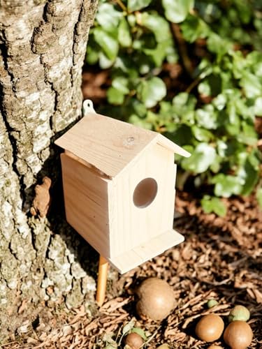 Image of Vayu Art & Crafts Pinewood Bird House || Sparrow Homes, for Balcony & Garden Hanging,Sparrow Nest /Chidiya Ka Ghosla || Made with Water Resistant Pine Wood || Size -10x15x17cm, 1 Pcs