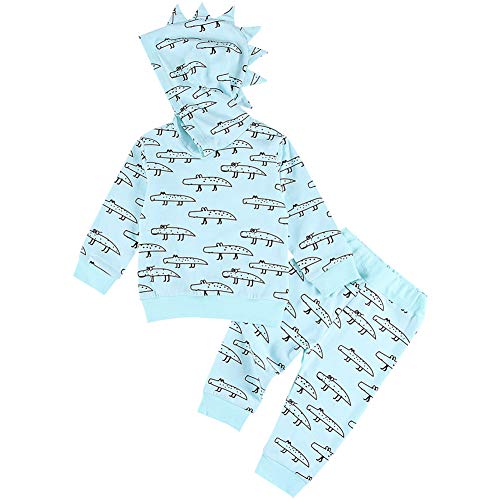 Toddler Infant Baby Boy Clothes Dinosaur Animal Style Long Sleeve Hoodie Tops Sweatsuit Pants Outfit Set (Blue, 18-24 Months)