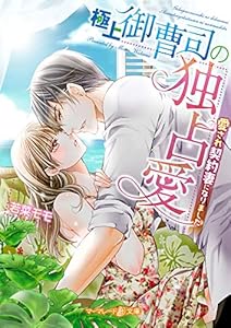 極上御曹司の独占愛～愛され契約妻になりました～ (マーマレード文庫)