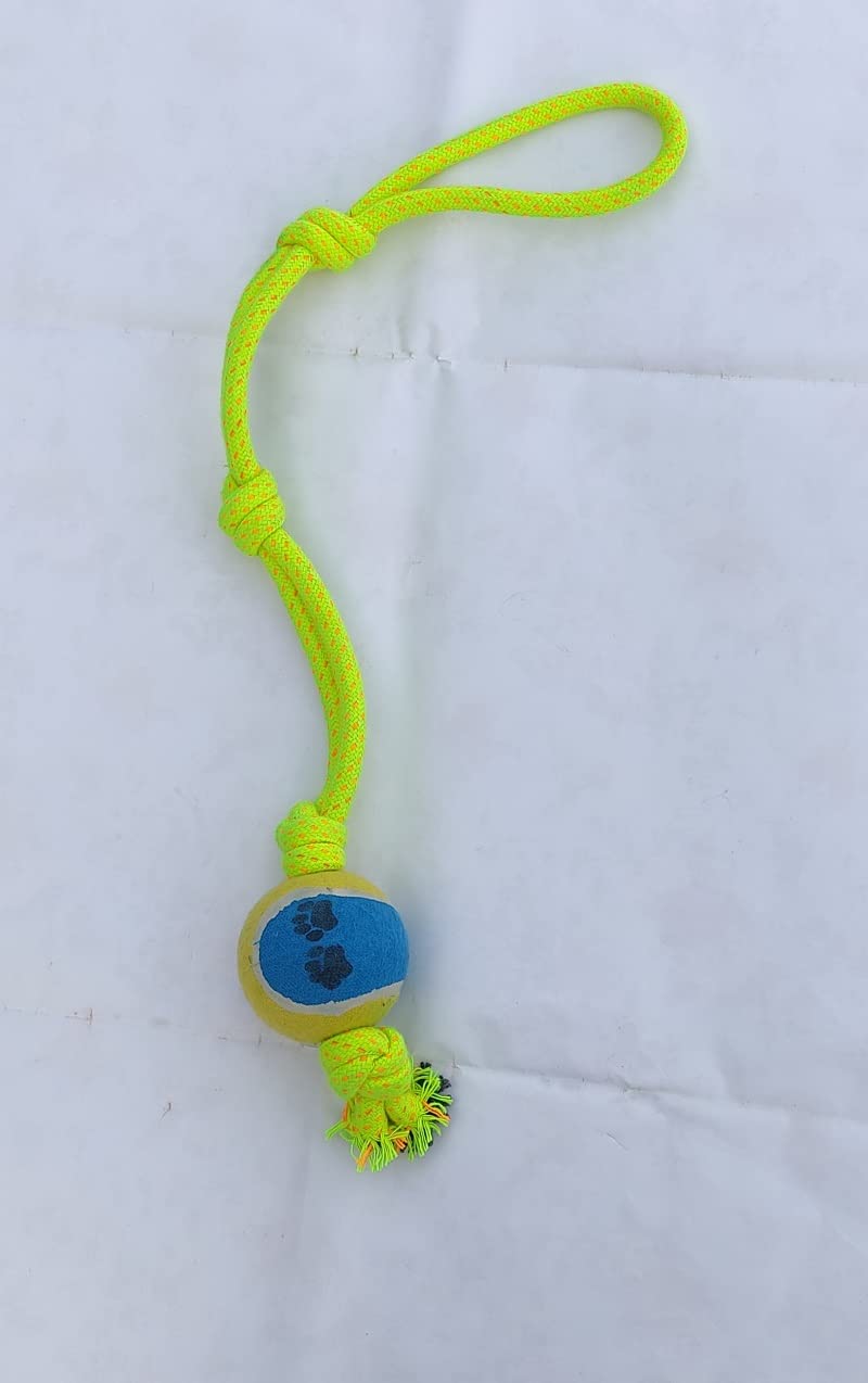 Dogista Durable 4 Knot 1 COSCO Ball Knotted Cotton Rope Toys for Teeth Cleaning and Chewing, Small & Medium Dog/Cat/Puppy (Multicolour), (LKMN47) (B09LM3L64Z) Amazon Price History, Amazon Price Tracker