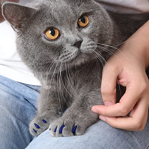 Image of Kitty Caps Nail Caps for Cats Spring Green with Glitter & Ultra Violet - Safe Stops Snags and Scratches, Medium (9-13 lbs), (FF9310PCS3) (Pack of 3)