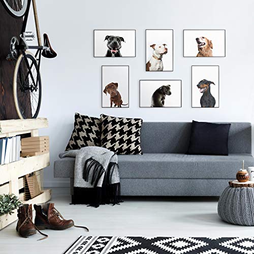 Mcs Format Frame, Black, 11 X 17 In, 6 Pk #TOP5