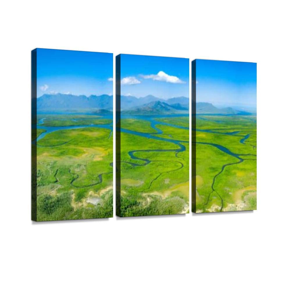 blaverr meandering rivers and mangroves of hinchinbrook island natural - Canvas Wall Art -Paintings Wall Artworks Pictures for Living Room Bedroom Decoration 3 Panels Home Wall Decor Posters