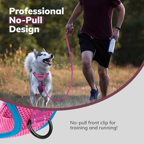 FAYOGOO Hundegeschirr, Kein Choke Front Clip Hund Reflektierendes Geschirr, No-Pull Verstellbare Weiche Gepolsterte Haustier Weste Set für kleine Mittlere Große Hunde Gehen (Rosa, M)