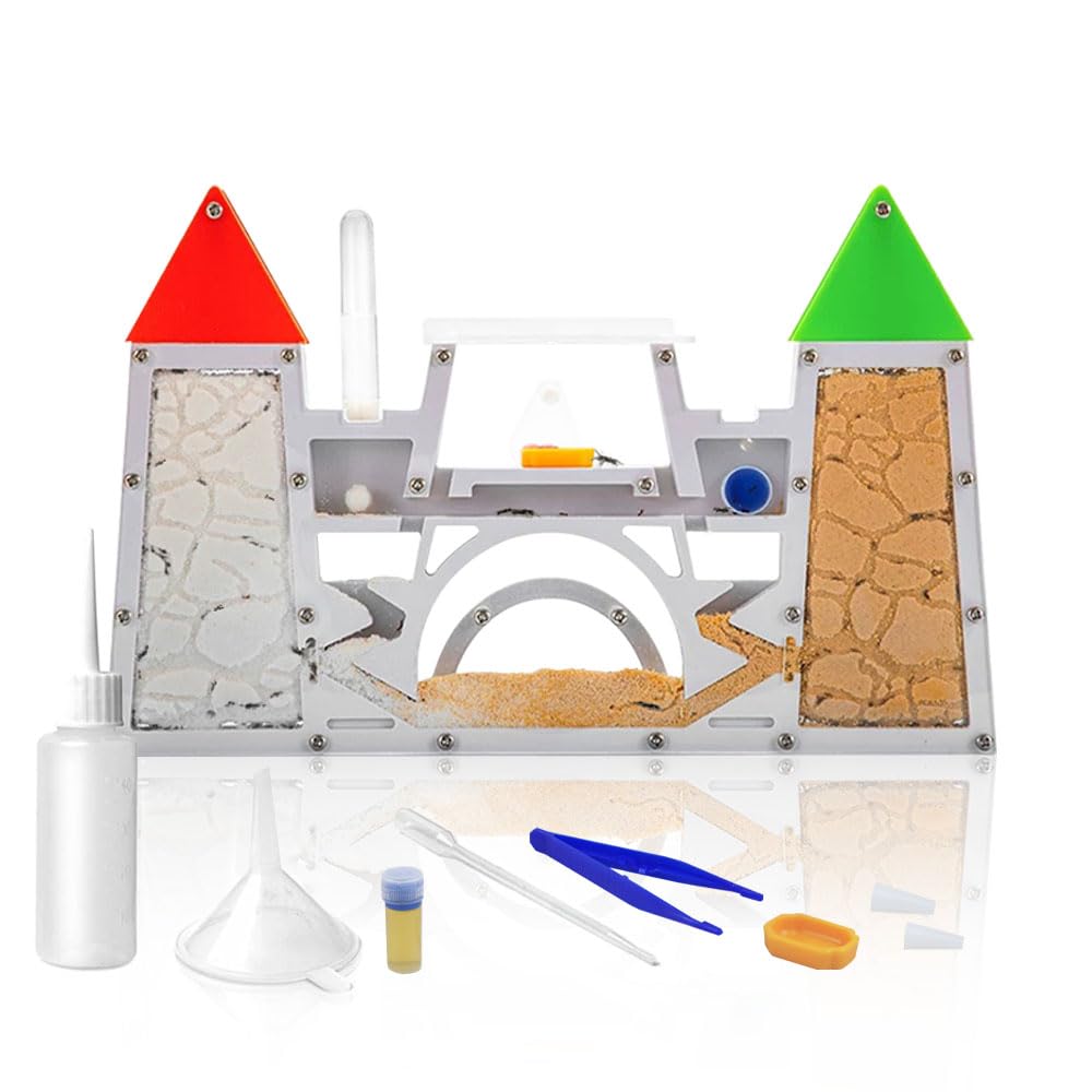 ELNMLHT Ant Farm Kit for Kids, Sand Ant Colony Terrarium Kit for Educational & Learning Science Toy for Boys, Girls & Adults (Red Green)