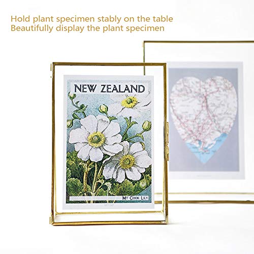 Tiiyee Glass Pressed Flower Frame - Image 3