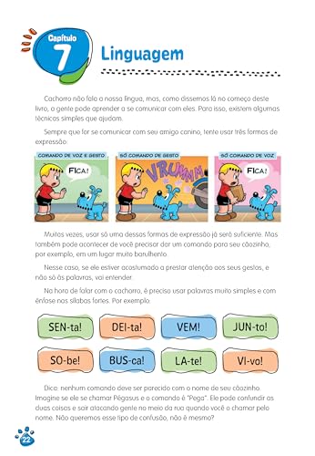 Como educar seu cãozinho