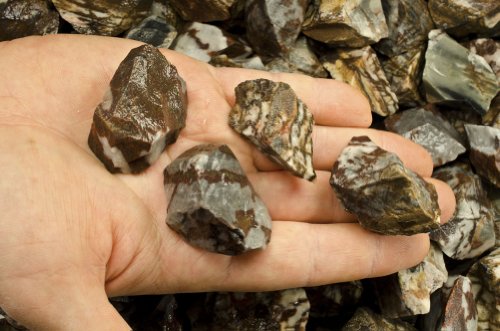 Fantasia Materials: 1 Lb Panther Jasper Rough Stones From India #TOP5
