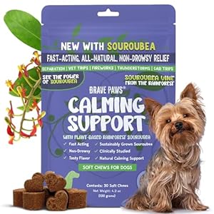 Calming Chews for Dogs Anxiety | Puppy & Dog Anxiety Relief Treats with Natural Souroubea | Calm Aid During Stress, Thunder, Storm, Separation, Car Travel, Motion, and Fireworks | Beef Flavor