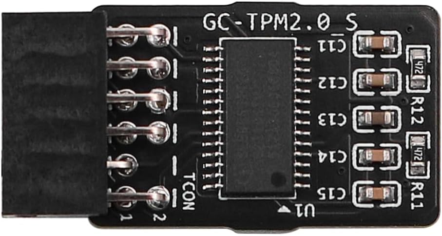 TPM 2.0 Module Encryption Security Module LCP SPI TPM2.0 Module 12 Pin for GABYTE Motherboards Win 11