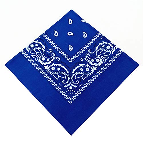 Nakw88 - Cinta para el pelo con estampado de cachemira (55 x 55 cm), No nulo, azul real, Tamaño libre