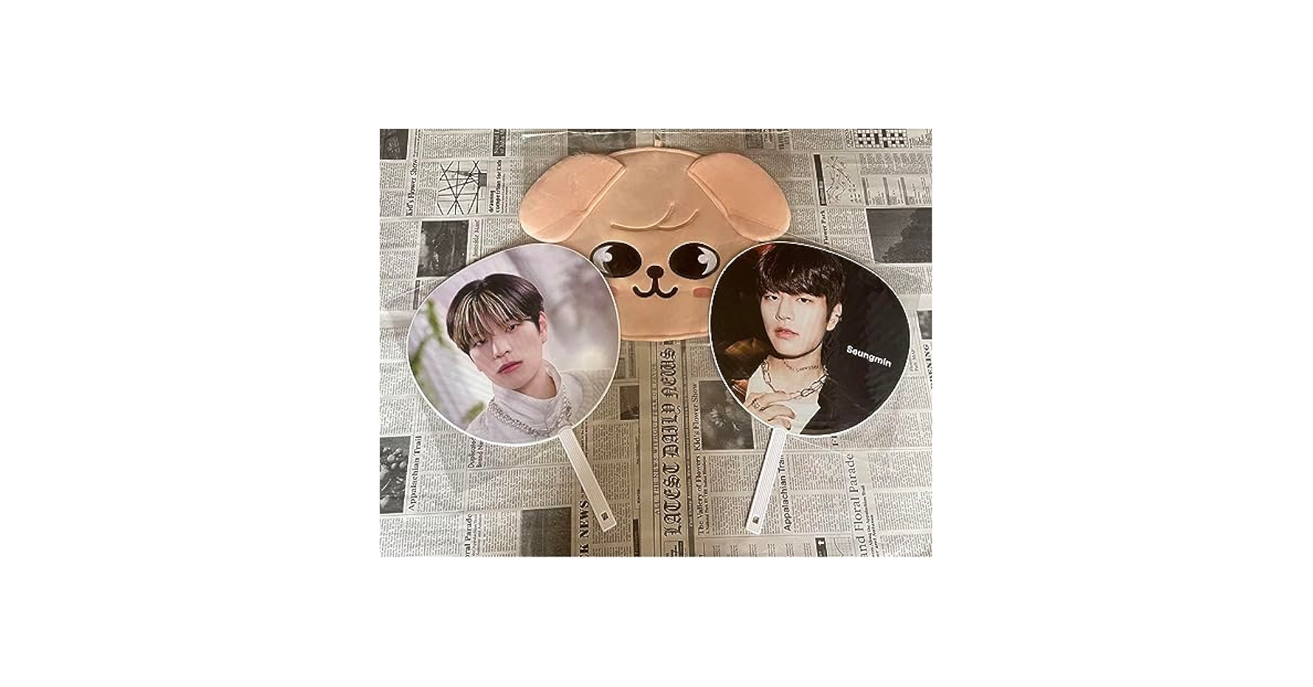 Amazon.co.jp: スンミン うちわ うちわケース スキズ straykids