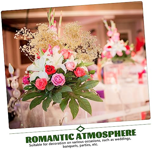 Ramo de Flores Secas Gypsophila para Decoración miniatura 3