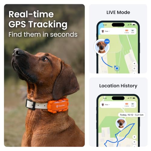 Tractive XL Adventure Smart Dog Tracker | 2026 Edition | Long Battery Life | Real-Time GPS Tracking | Escape & Health Alerts | Vitals Monitoring | Market Leader (Orange) - Image 2