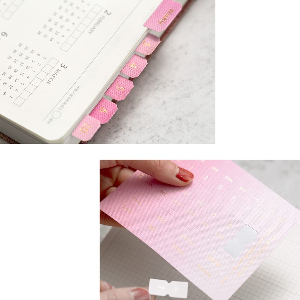 40 vellen zelfklevende tabs, maandelijkse stickers, tabs voor planner, journal, notebook, agenda en organizer, kantoor en robuust (A40