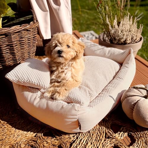 4L Textil Teo Kuscheliges Hundebett Hundekorb mittelgroße Hunde Hundekissen flauschig Hundekörbchen Hundesofa(60x40 cm, Beige)