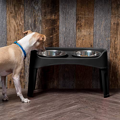 13 Best Vet Elevated Dog Bowls in 2022