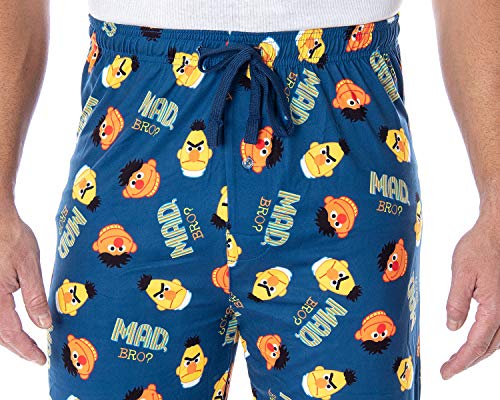 Sesame Street Men's Bert And Ernie Mad Bro? Sleep Lounge Pajama Pants2