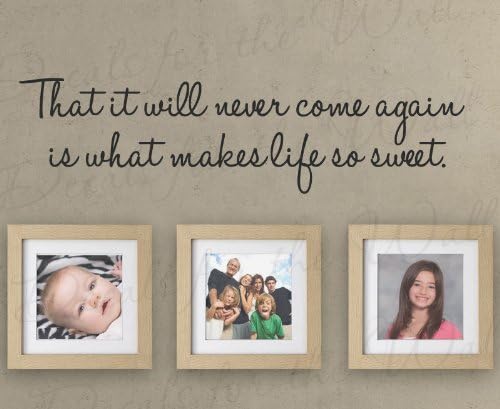 That it Will Never Come Again is What Makes Life So Sweet - Home Family Love Picture Frames Mural - Wall Quote Sticker Graphic - Vinyl Decal Art Decoration - Mural Lettering Decor Saying
