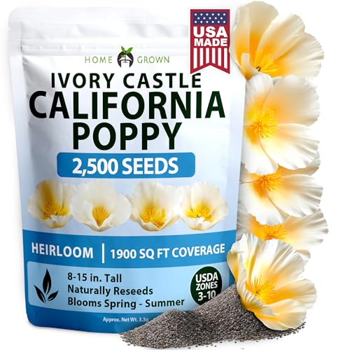 Image of HOME GROWN California Poppy Ivory Castle 2500 Seeds 3.3g 2026 Spring Flower Seeds for Planting Outdoors, California Poppies, Bulk Perennial Self-Seeding Flower Seeds (Eschscholzia Californica)