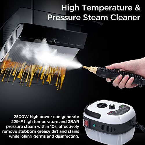 Ganggend Handheld Steam Cleaner, 2500W Hand-Held High Pressure Portable Cleaning Machine with 3 Brush, High Temperature Steamer for Home Use, Kitchen, Furniture, Bathroom, Car (White)